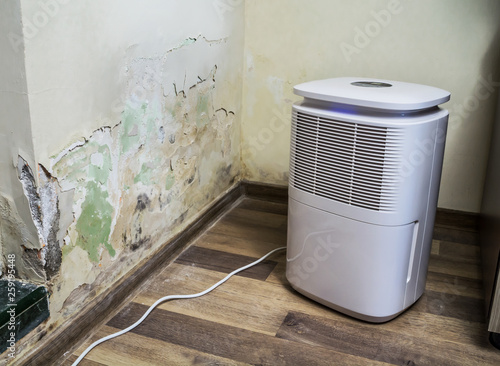 Air filter and drying device for water infiltration, moist, damp, leakage and mold infestation. Toxic fungus growing on an interior wall with dehumidifier next to it.  photo