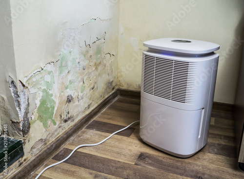 Fotografía Air filter and drying device for water infiltration, moist, damp, leakage and mold infestation