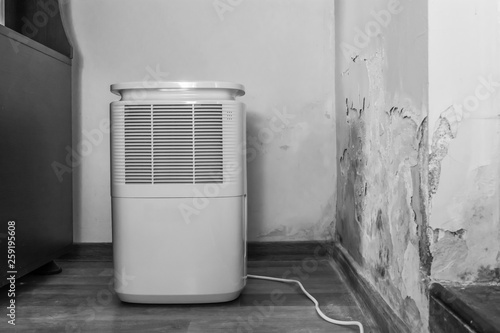 Dehumidifier cleaning the air and reducing moisture in a room with bad toxic mold infestation on the wall. Purifier for high humidity problems.  photo