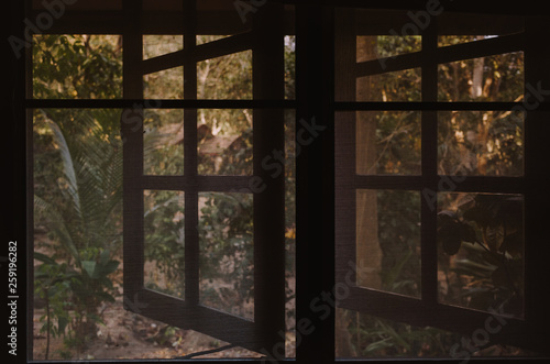 window frame with plants in the background in Koh Tao, Thailand