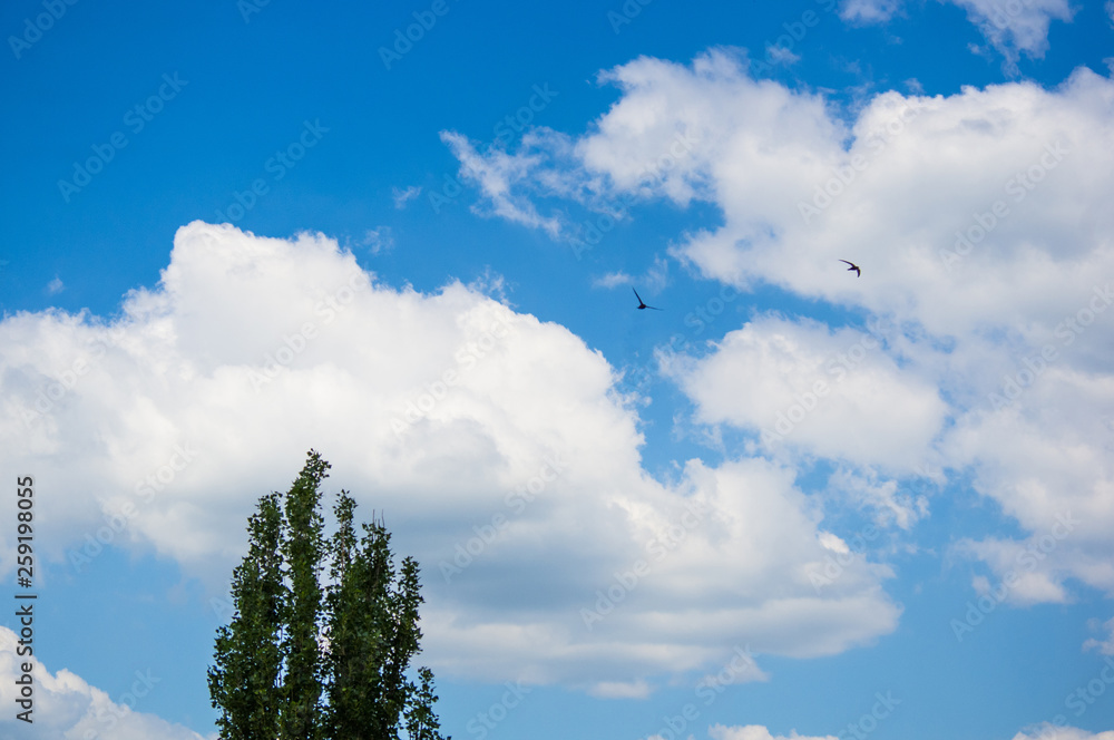 beautiful background bright blue sky with white clouds beautiful background bright blue sky with white clouds