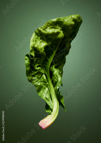 Close up of spinach leaf against green background