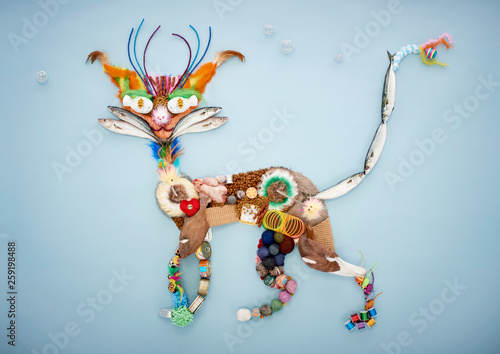 Cat made from raw foods and other equipment