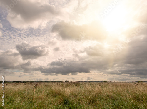 Field with wild grass, beautiful sky with clouds, Sun beams shine through the clouds, rural landscape.