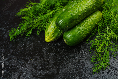 cucumbers on black background