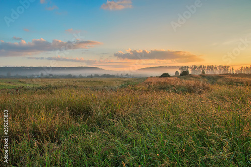 morning, a field of grass, trees and a village on the horizon