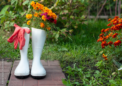 spring concept, gardening tools for gardening, rubber boots and seedlings, watering can, seasonal garden work.
