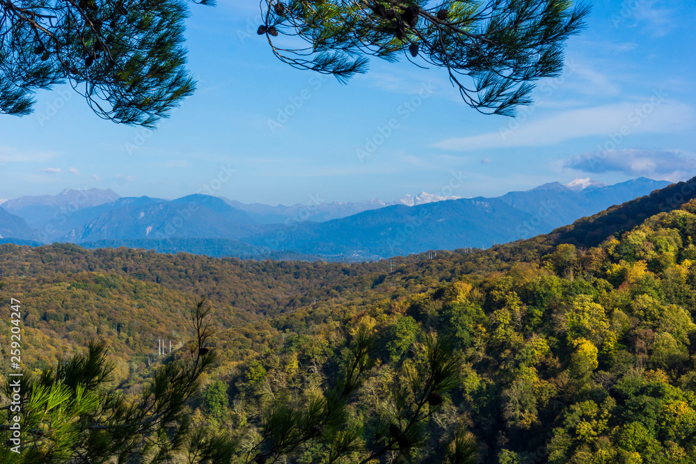 Panorama of the mountain near Sochi, Russia. Mountain with forest trees