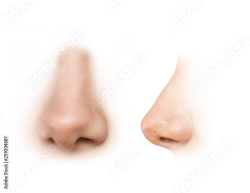human nose reference images photo