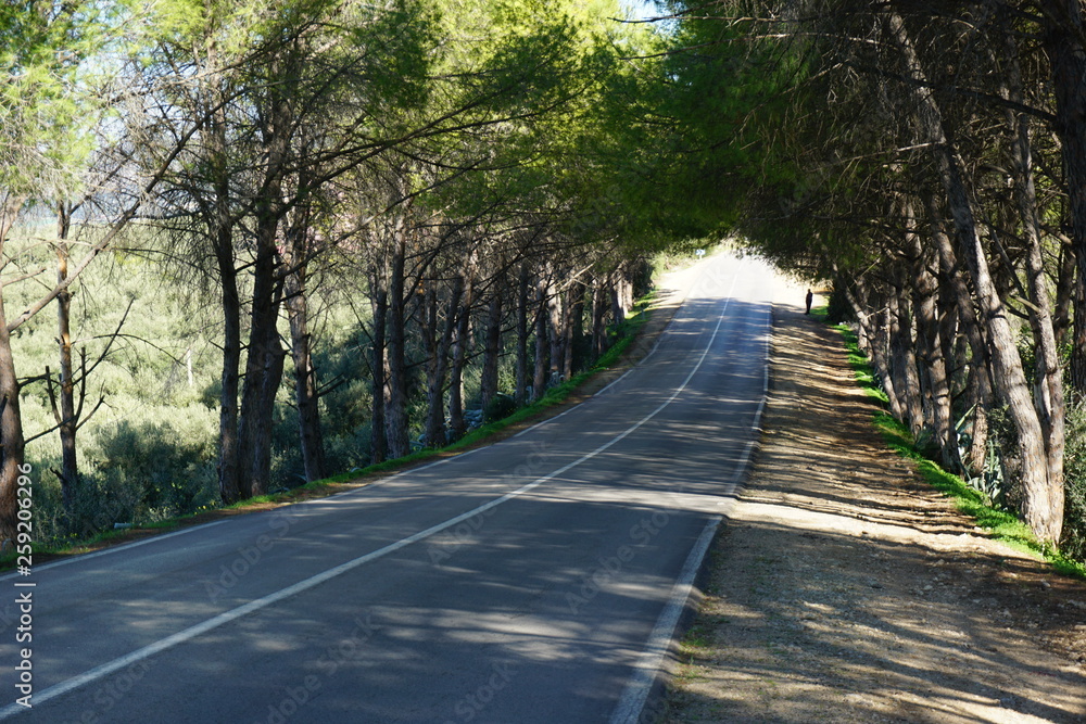 Naklejka premium Route