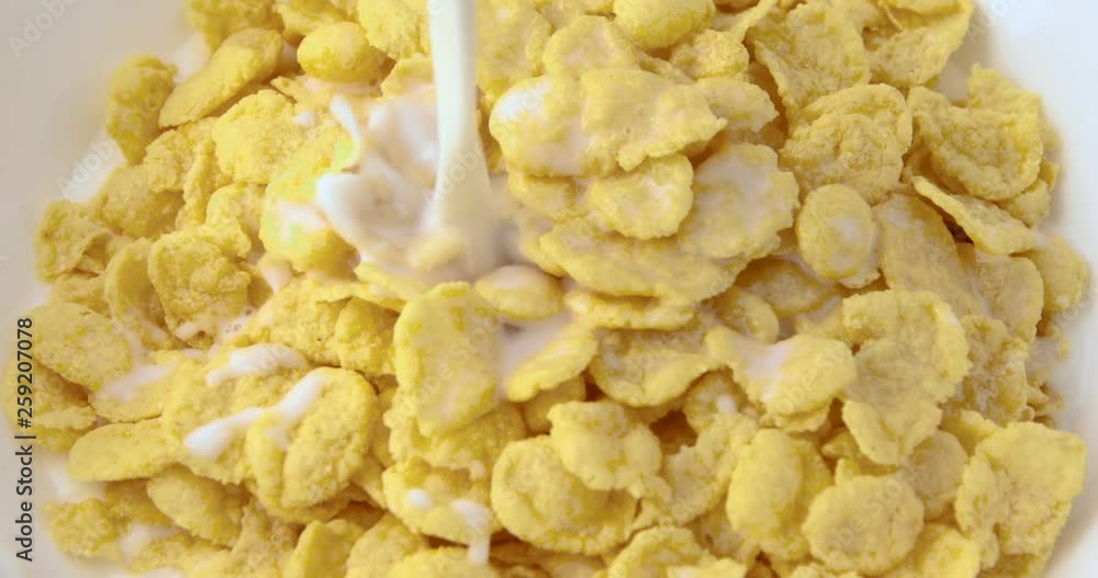Pouring milk on yellow corn flakes Pouring milk on yellow corn flakes
