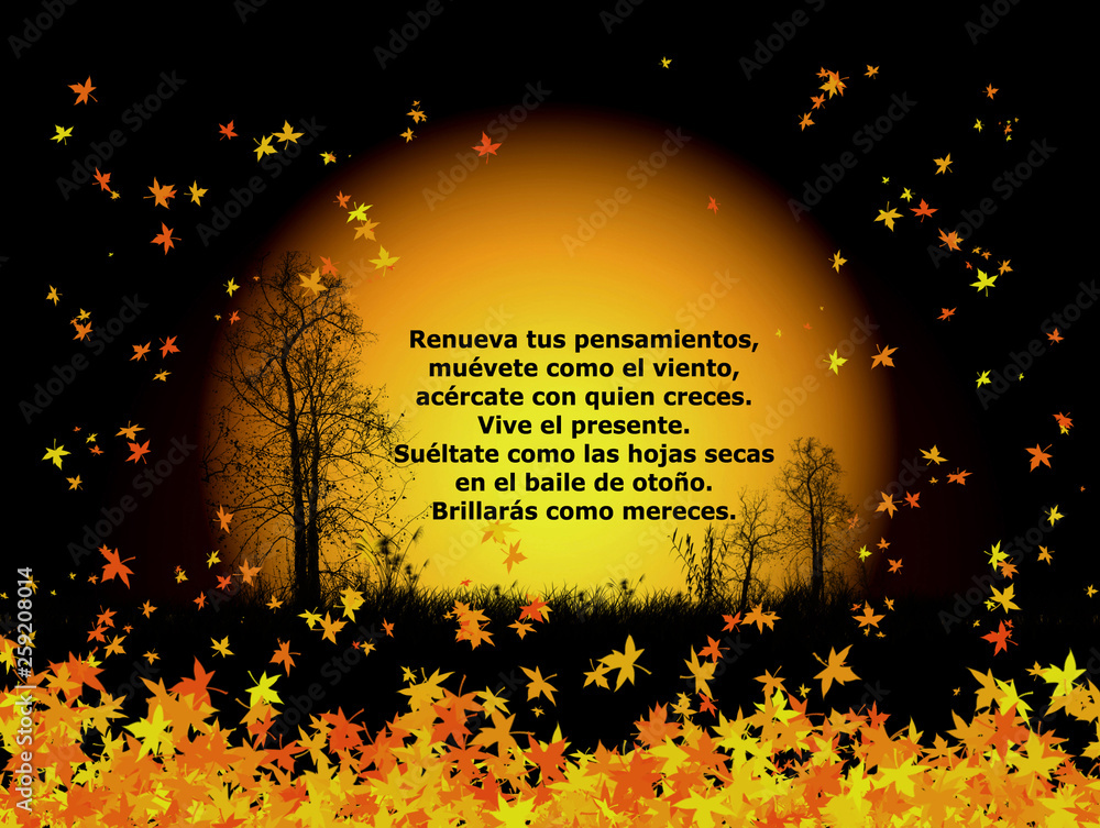 Frases motivadoras. Sol con hojas de otoño caídas. Ilustración poética.  foto de Stock | Adobe Stock