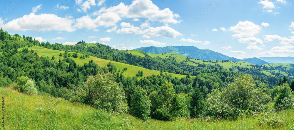 panorama of mountainous countryside in summer.  rural fields on grassy hills. ridge in the distance. wonderful sunny weather