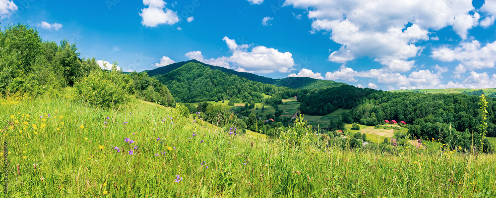 panorama of mountainous countryside in summer.  rural fields on grassy hills. wild herbs on the meadow. wonderful sunny weathe with a blue sky with fluffy clouds. village in the distant valley