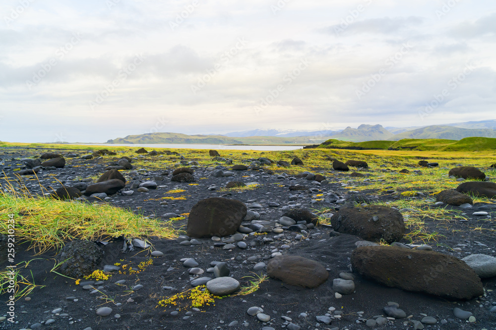Icelandic landscape with green grass, stones and sand near Reynisfjara black beach. Vik, Reynisdrangar, Southern Iceland. Coast of the Atlantic ocean. Copy space background