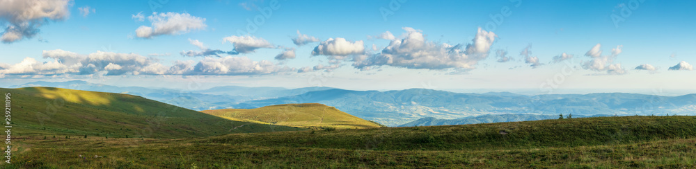 Fototapeta premium beautiful summer landscape in mountains. grassy alpine meadows in evening light. wonderful weather with fluffy clouds