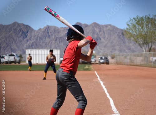Softball batter