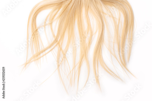 Human, natural light blond straight hair on white isolated background. An example of a fashionable hairstyle for a poster, an advertisement or a hairdressing website, packaging.