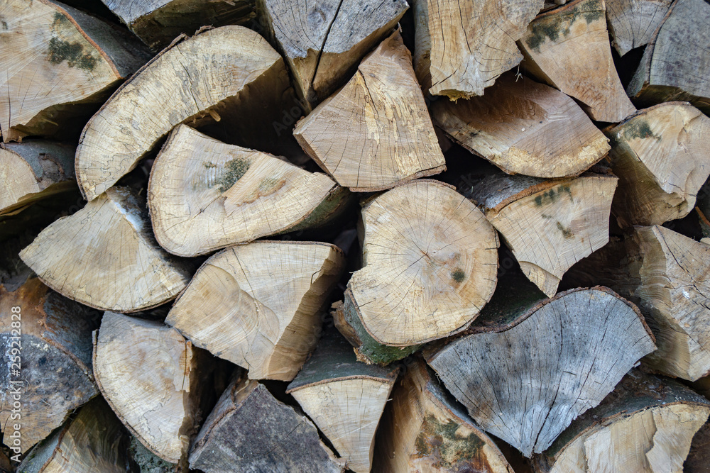 Fototapeta premium pile of firewood