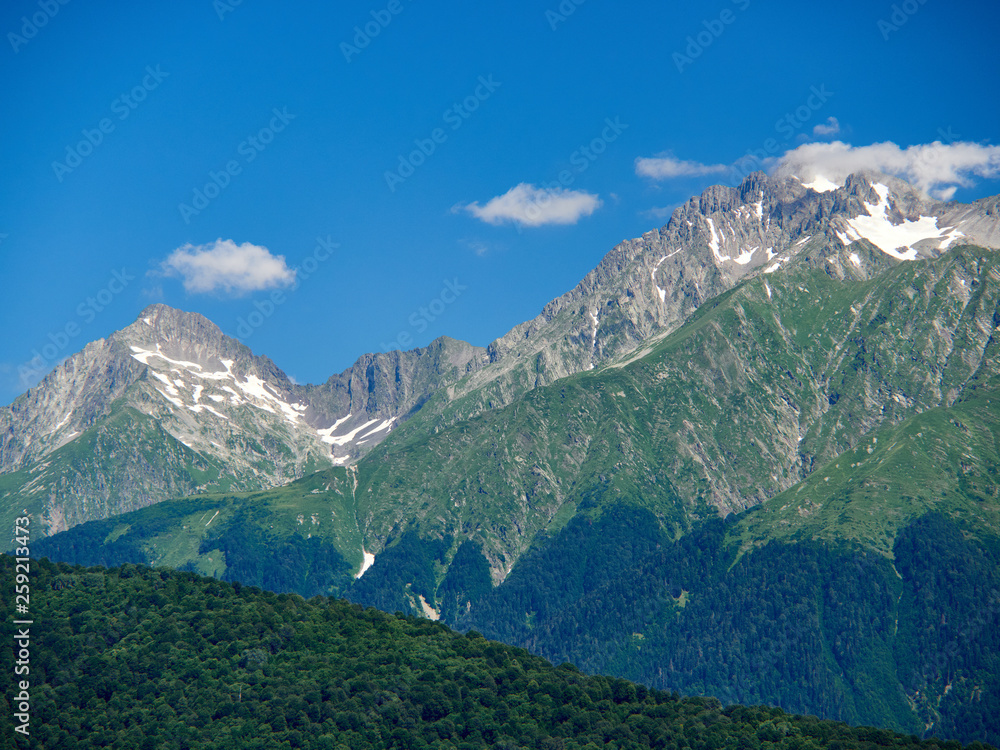 High mountain range with snowy peaks, with slopes overgrown with forest, against the background of bright blue sky