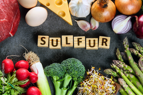 Food rich in sulfur photo