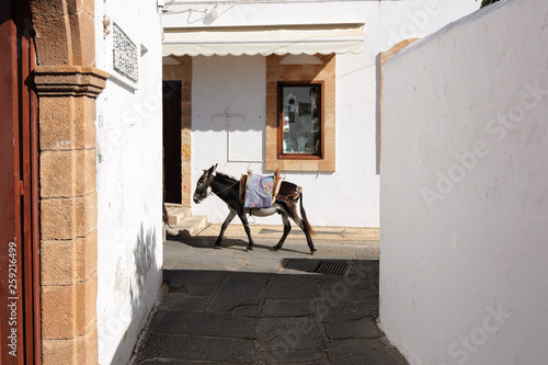 Donkey is the only means of transportation on the streets of Lindos, Greece. © delobol