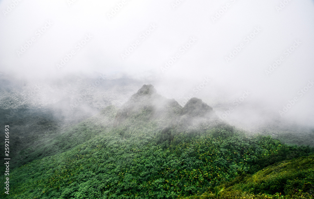 View from El Yunque Peak in El Yunque National Forest in Puerto Rico 