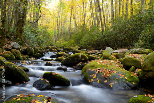 Slika na platnu Small white water stream in the Smoky Mountains fall.