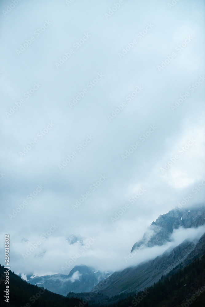Ghostly giant rocks with trees in thick fog. Mysterious huge mountain with snow in mist. Early morning in mountains. Impenetrable fog. Dark atmospheric cloudy landscape. Tranquil mystic atmosphere.