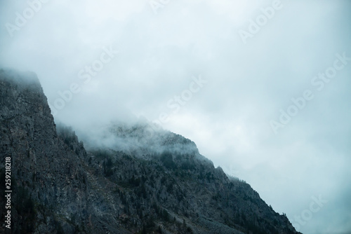 Ghostly giant rocks with trees in thick fog. Mysterious huge mountain in mist. Early morning in mountains. Impenetrable fog. Dark atmospheric eerie landscape. Tranquil mystic atmosphere of wilderness. © Daniil