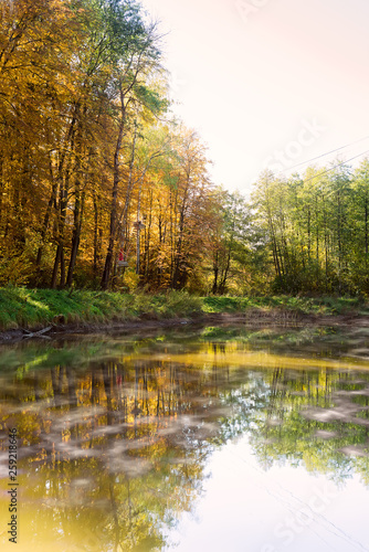 Autumn forest lake water landscape