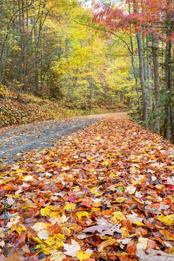 Small narrow mountainous road in autumn in the Smoky Mountains.