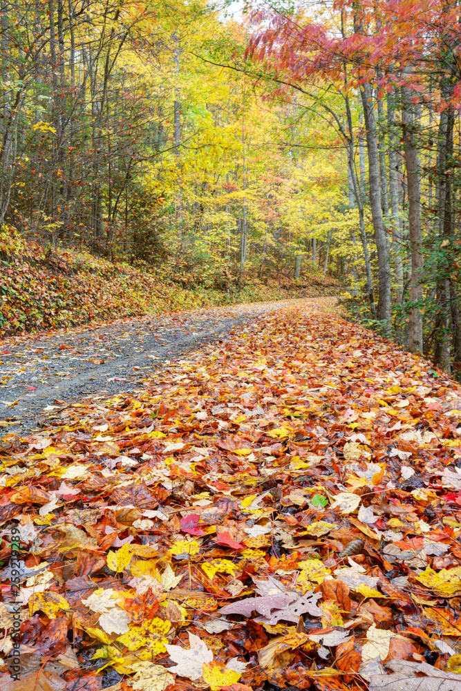Small narrow mountainous road in autumn in the Smoky Mountains. Small narrow mountainous road in autumn in the Smoky Mountains.