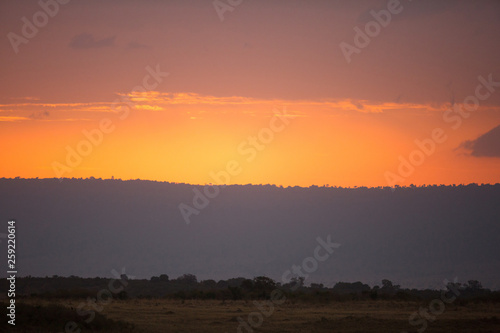 Beautiful sunset at Masai Mara wildlife century, Kenya