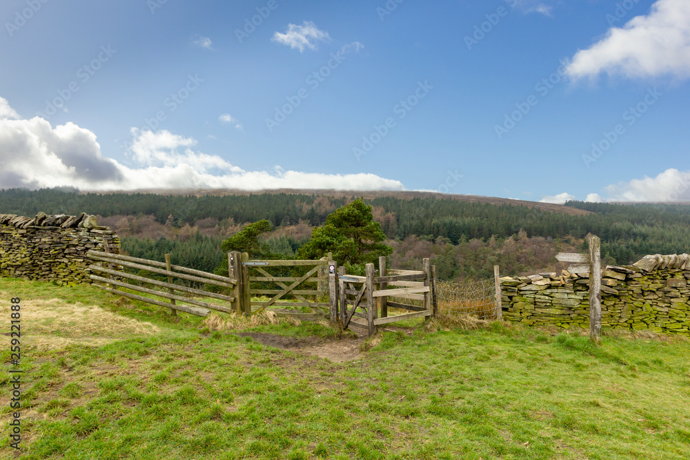 A view of a wooden walker gate with green vegetation, trees and hills in the background under a majestic blue sky and white clouds