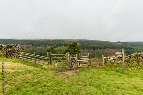 A view of a wooden walker gate with green vegetation  trees and hills in the background under a white cloudy sky