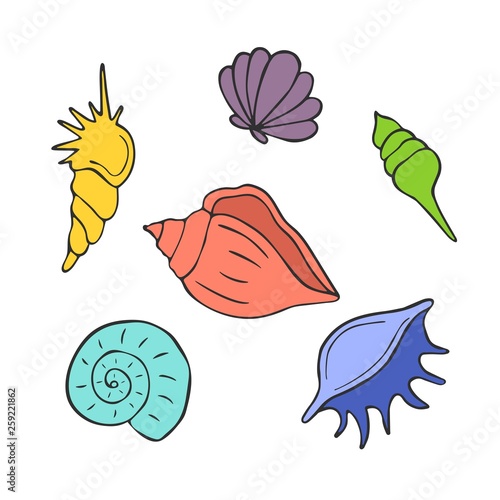Set of cartoon seashells on a white background. Vector illustration.
