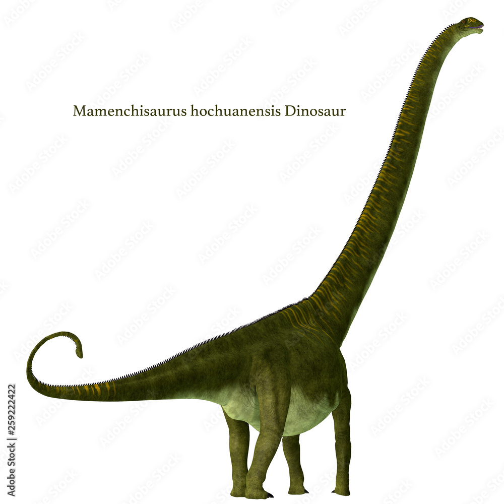 Obraz premium Mamenchisaurus hochuanensis Dinosaur Tail with Font - Mamenchisaurus hochuanensis Dinosaur Tail