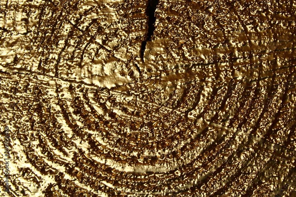 Fototapeta premium Goldener Holzhintergrund