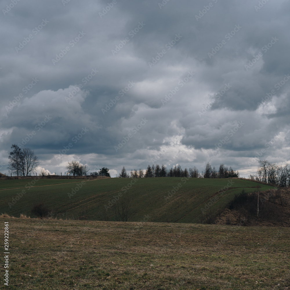 hilly landscape with fields hilly landscape with fields
