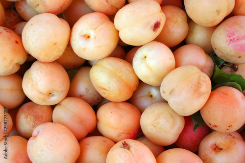 apricots at bazaar