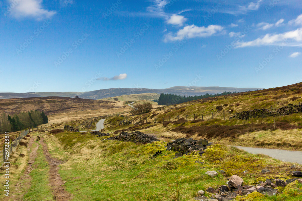 A view of a rural twisting road lane in a valley with stone wall on the side, walking path, green vegetation and pine forest under a majestic blue sky and white clouds