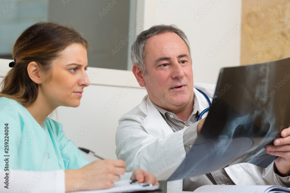 Obraz premium dentists looking at an x-ray