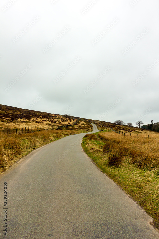 A view of a rural road lane and green vegetation under a cloudy white sky A view of a rural road lane and green vegetation under a cloudy white sky