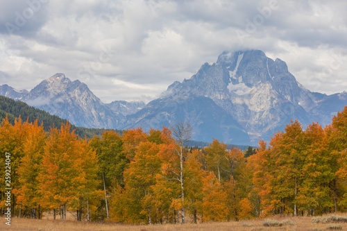 Scenic Autumn Landscape in the Tetons