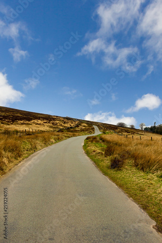 A view of a rural road lane and green vegetation under a majestic blue sky and white clouds