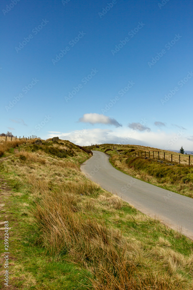 A view of a rural road lane and green vegetation under a majestic blue sky and white clouds
