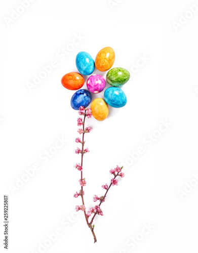 Flower of easter eggs and branch with blossom isolated on whiet background photo