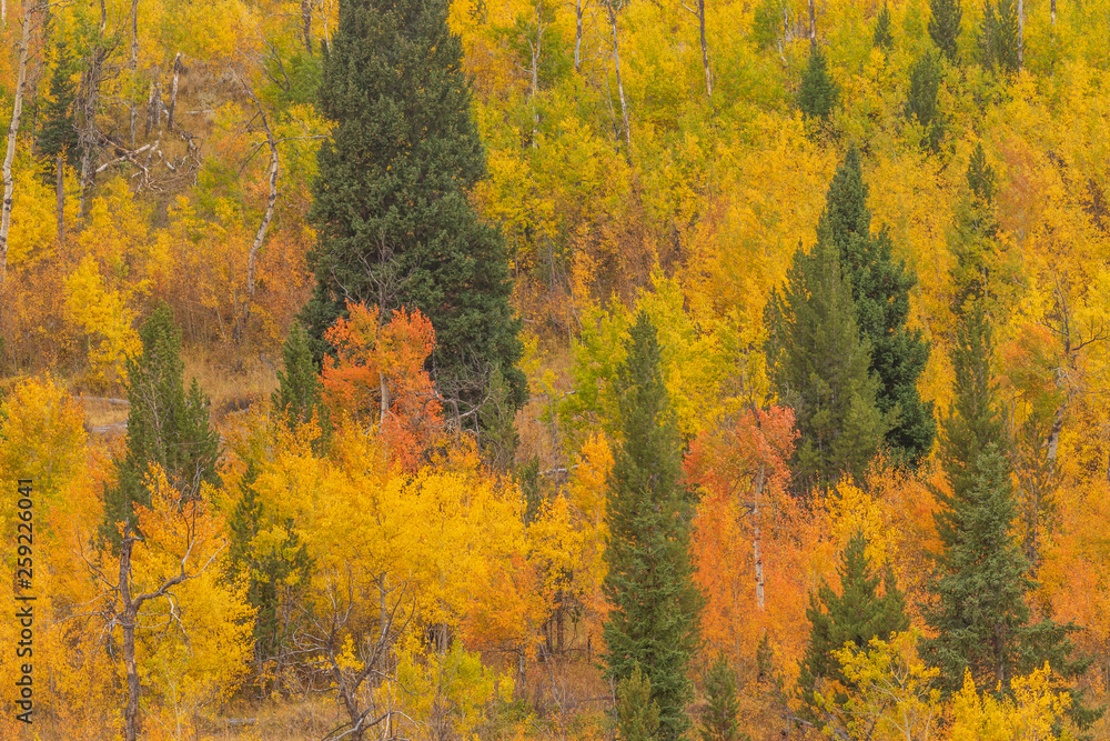 Scenic Autumn Landscape in the Tetons Scenic Autumn Landscape in the Tetons