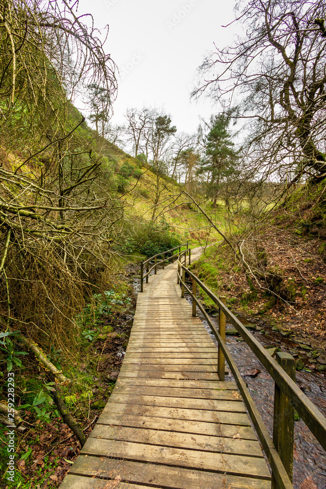 A view of a wooden path bridge  over a stream along naked trees and green vegetation under a white cloudy sky